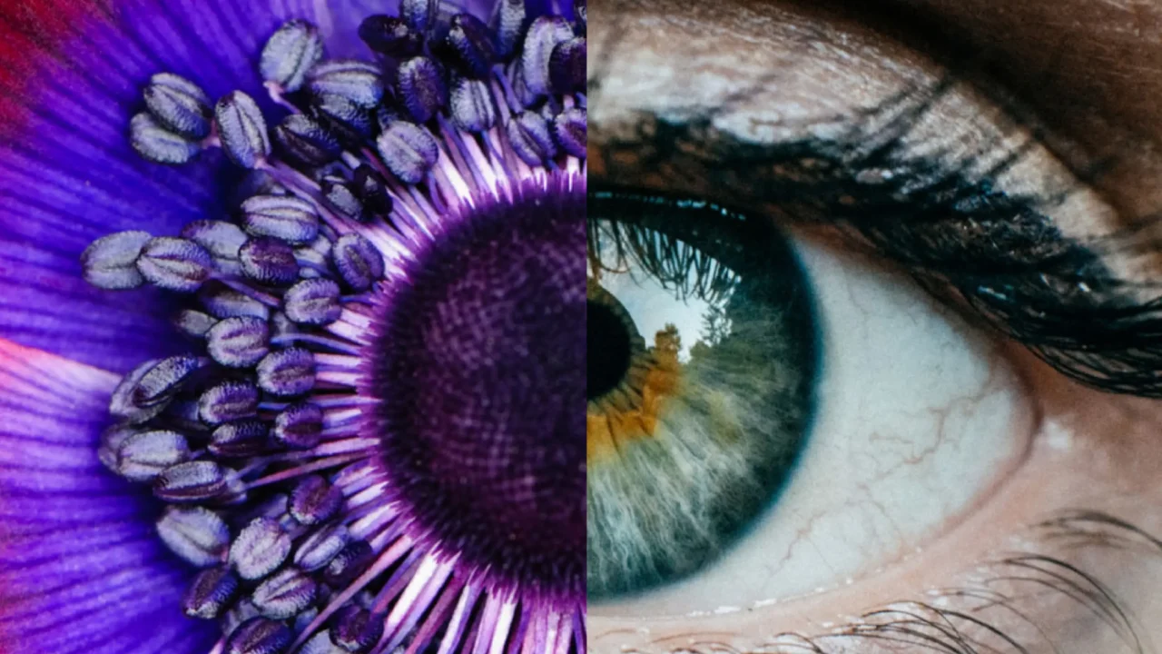 Internal and external brand activation for an ocular gene therapy leader.